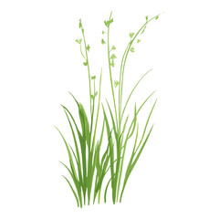 Flat vector of green grass leaves plant leaf vector