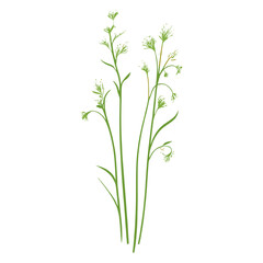 Fototapeta premium Flat vector of green grass leaves plant leaf vector