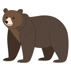 Obraz premium Grizzly bear illustration wildlife animal vector