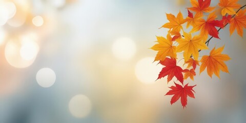 Golden and Red Maple Leaves on a Branch with Soft Bokeh and Warm Autumn Glow in the Background