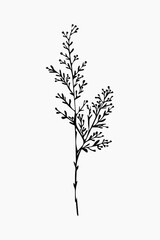 Fototapeta premium Minimalist botanical black silhouette art vector