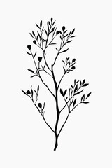 Obraz premium Elegant botanical silhouette art vector