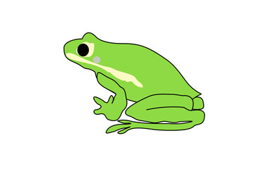 Green frog cute cartoon simple vector illustration cartoon