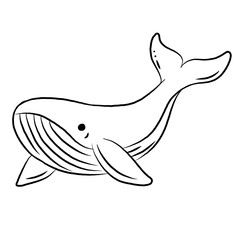 Fototapeta premium Line art cartoon blue whale isolated on white background. sea ​​animals