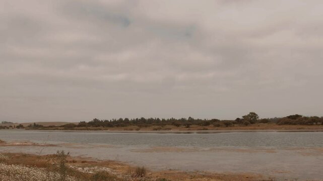 A view of El Yali estuary in the Quinta Regi&oacute;n of Chile, featuring calm water, dry vegetation, and a horizon of trees under a cloudy sky.