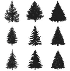 Obraz premium pine tree silhouette set, black on white background. Pine trees collection 