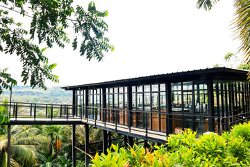 Fototapeta premium Modern glass building elevated above tropical vegetation on a clear day