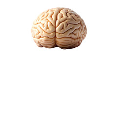 Brainpower: New Ideas Bloom from Knowledge.  Science, Education, Innovation Concept. mind data books