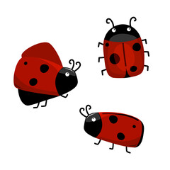 Set of cute ladybugs. Walking, flying ladybug and top view. For cards, t-shirts, posters, stickers, children stationery, educational materials, or decorative designs.