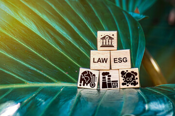 Environment Law. Green World and gavel with scales of justice on the green. law for principles of sustainable environmental conservation. law that governs how humans interact with their environment