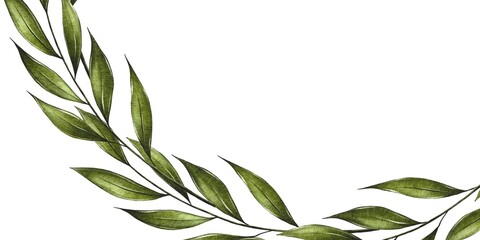 Obraz premium Banner, postcard, frame of Watercolor Branch with Green Leaves on a white background. Illustration for greeting cards, wedding invitations. Design for birthday decorations, anniversaries, Easter 
