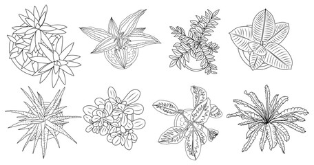 Set of different house plants top view. Cactus, aloe, monstera, palms black line art icons for landscape, architectural, interior design. Hand drawn Vector sketch isolated on transparent background. © Creative_Juice_Art