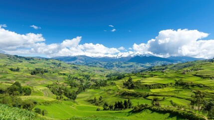 Obraz premium Lush Green Mountain Valley Landscape