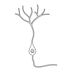 granule neuron immature line icon