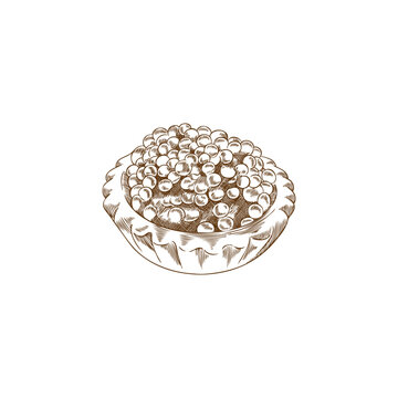 brown caviar tart sketch on white clip art preview