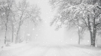 Winter Wonderland: Snowy Path Through a Snow-Covered Forest