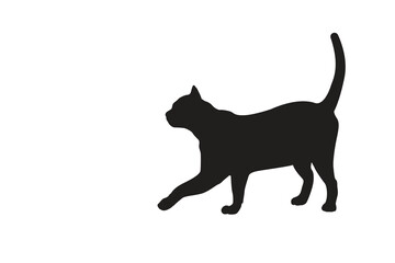 Cat Silhouette. Black cat isolated on white background. Vector illustration of element for design decoration.