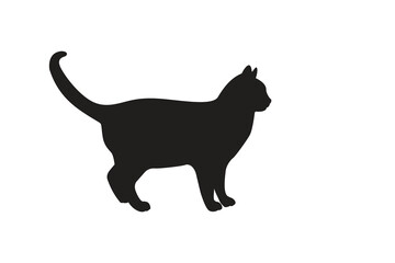 Cat Silhouette. Black cat isolated on white background. Vector illustration of element for design decoration.