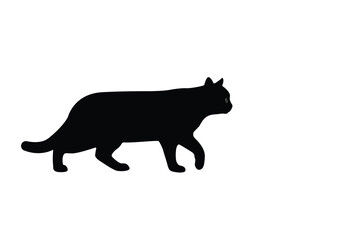 Cat Silhouette. Black cat isolated on white background