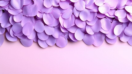 Lavender Flower Petals Border on Pink Background Floral Design Nature Texture