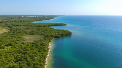 Aerial view Coastal mangrove, turquoise ocean, distant town, sunny day, tourism