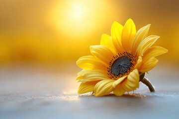 Serene Sunrise Stroll: Tranquil Dirt Path Amid Sunflower Field with Cascading Sunlight Beams