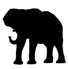 ゾウのシルエット