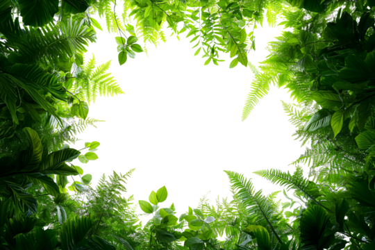 frame of green leaves, fresh green tropical bush plant, copy space for text, transparent background, cutout png