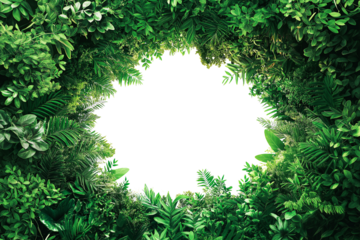 frame of green leaves, fresh green tropical bush plant, copy space for text, transparent background, cutout png