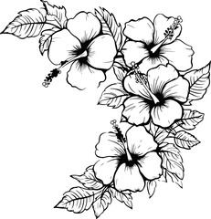 Hibiscus flower corner drawing