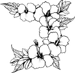 Hibiscus flower corner drawing