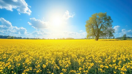 Sunny field, lone tree, blue sky, flowers, idyllic landscape