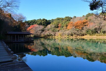 Fototapeta premium Autumn Lake Reflections: Peaceful Cabin in the Woods