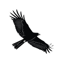 black bird silhouette vector illustration art