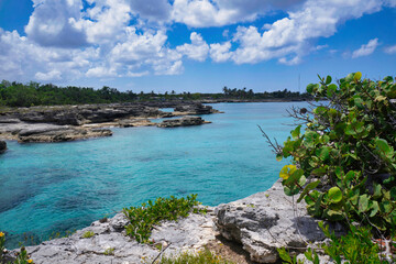 Cocodrilo, Sur de la Isla de la Juventud