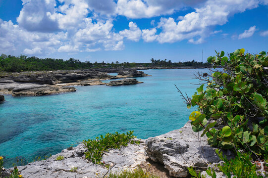 Cocodrilo, Sur de la Isla de la Juventud