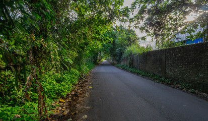 Naklejka premium Rural road.