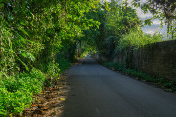 Obraz premium Rural road.