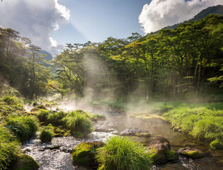 Fototapeta premium 山奥の天然温泉