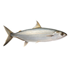 Fototapeta premium Bonefish AI Generated Image