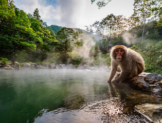 山奥の天然温泉