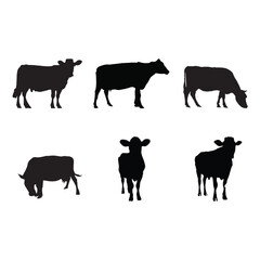 cow collection vector