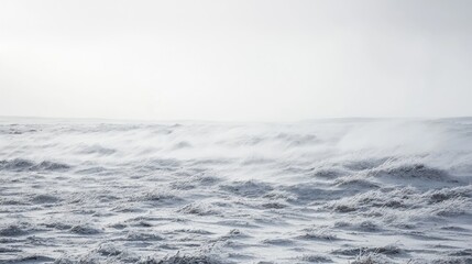 Obraz premium Winter Blizzard: A Frozen Landscape