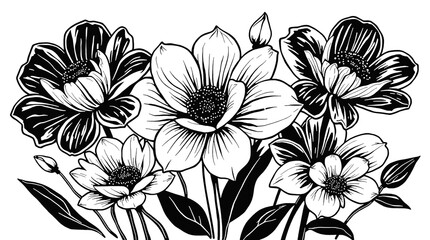 Elegant Black and White Floral Line Art, flower PNG