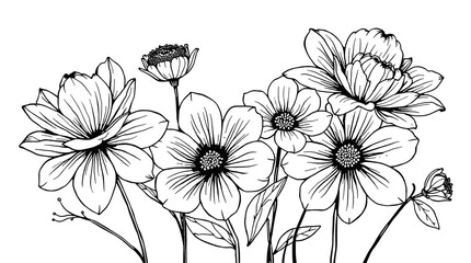 Elegant Black and White Floral Line Art, flower PNG