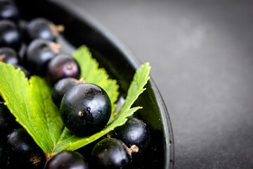 Close-up of black currants in a black bowl on green leaf. Organic berries mix, cropped, close up, food photography for food blog, copy space for text