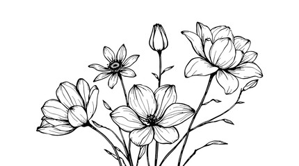 Elegant Black and White Floral Line Art, flower PNG