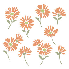 Floral material collection ideal for textile design,