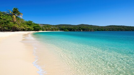 Fototapeta premium Tropical Beach Paradise