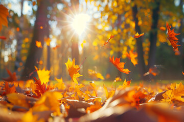 Autumn Forest with Falling Leaves in Warm Sunlight

